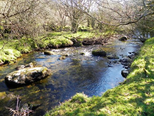 59.-Flowing-past-Shircombe-Brake-2