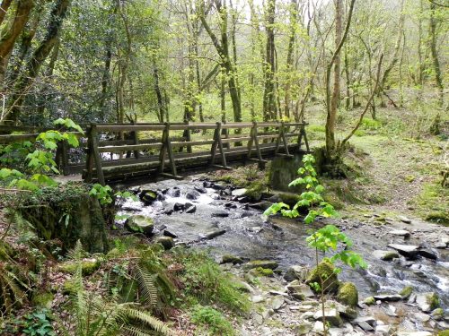 59.-Heddon-Valley-ROW-bridge-B-2