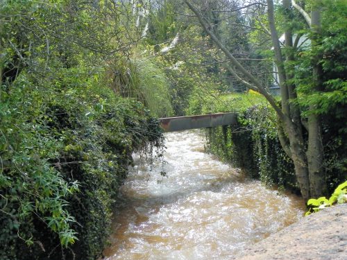 59.-Looking-upstream-from-Yea-Farm-Bridge-2