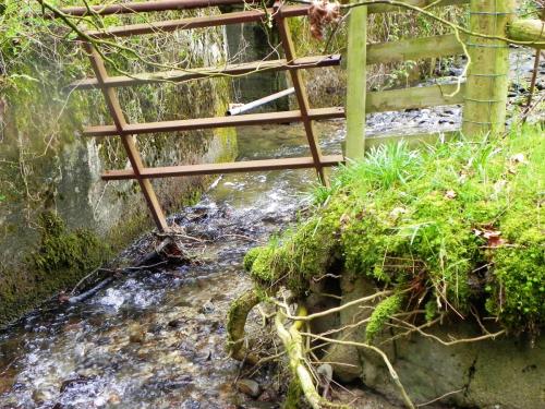 59.-Tributary-stream-joins-fom-above-Holwell-Rocks-2