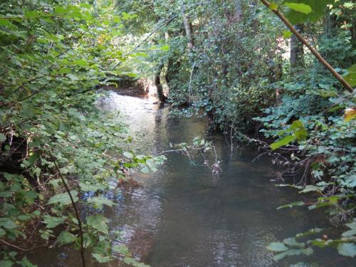59.-Upstream-from-Tracebridge