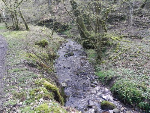 59.-Upstream-from-join-with-Shillett-Combe-Water