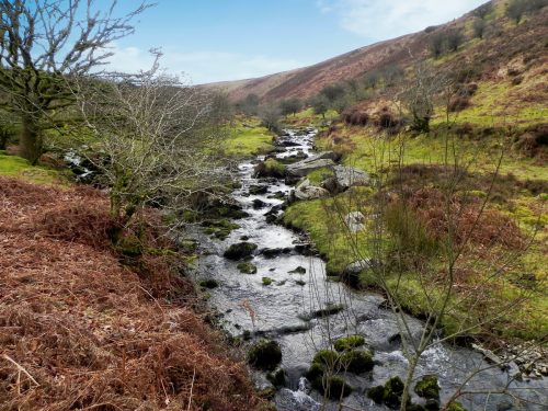 59.-Waters-from-Middle-Hill-join-2