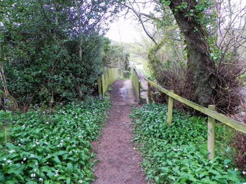 6.-Avill-Farm-ROW-Bridge-3176-2