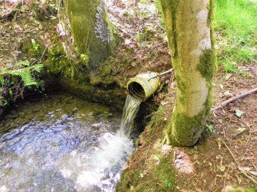 6.-Chargot-Woods-culvert-inlet-4