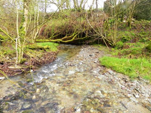 6.-Downstream-from-A39-Culvert-2