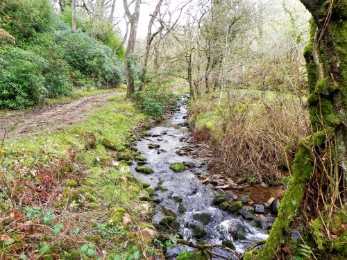 6.-Downstream-from-Bin-Combe-2