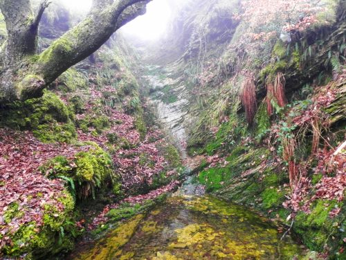 6.-Downstream-from-Dunkery-Gate-2
