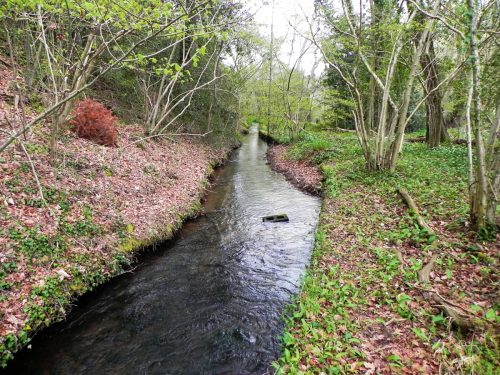 6.-Downstream-from-Dunster-Mill-Leat-Weir-2