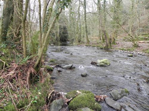 6.-Downstream-from-Horner-Packhorse-Bridge