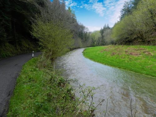 6.-Downstream-from-Langridge-Mills-2