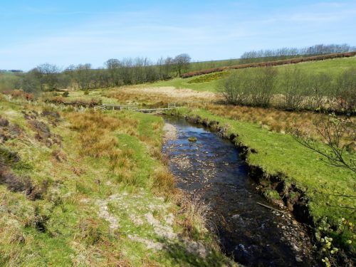 6.-Downstream-from-Lower-Willingford-Bridge-2