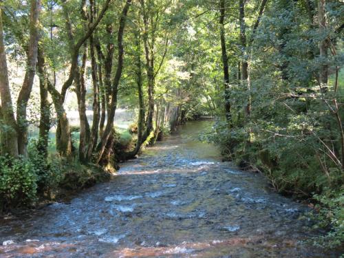 6.-Downstream-from-Nethercote-Bridge-1