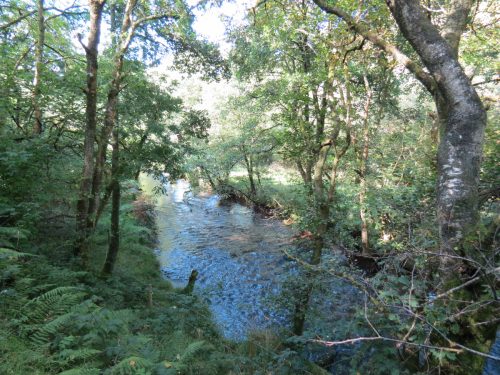 6.-Downstream-from-Nethercote-Bridge-2