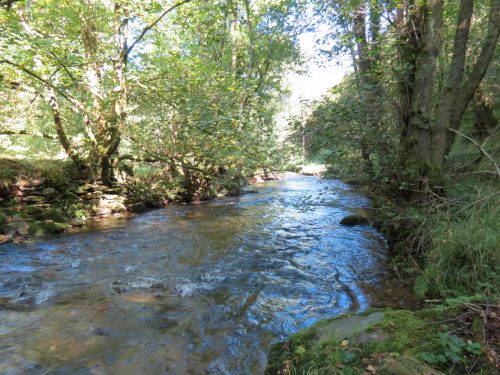 6.-Downstream-from-Nethercote-Bridge-3