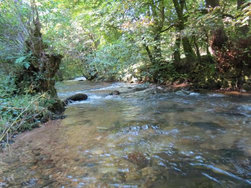 6.-Downstream-from-Nethercote-Bridge-4