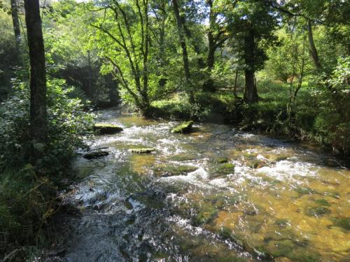 6.-Downstream-from-Nethercote-Bridge-6