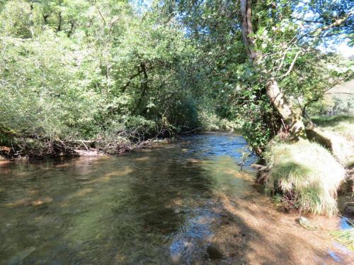 6.-Downstream-from-Nethercote-Bridge-7