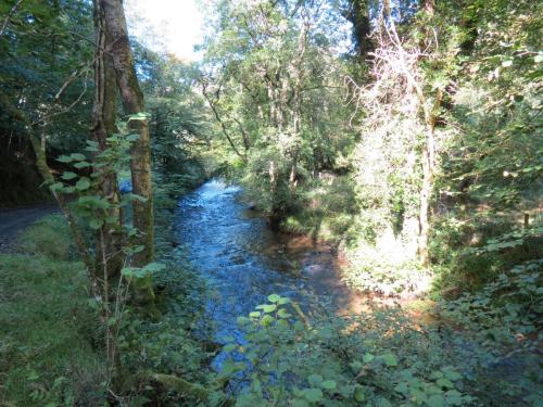 6.-Downstream-from-Nethercote-Bridge-9