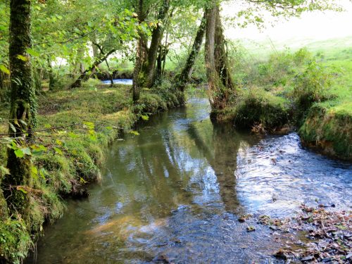 6.-Downstream-from-Nutsford-Bridge-2