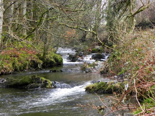 6.-Downstream-from-Oareford-Farm-2