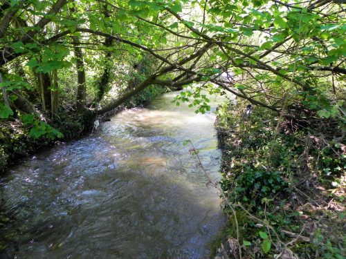 6.-Downstream-from-ROW-footbridge-No.-4789-2