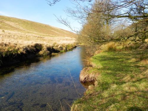 6.-Downstream-from-Simonsbath-2