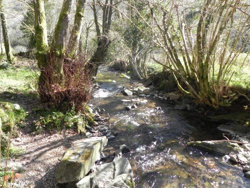 6.-Downstream-from-Trentishoe-Bridge