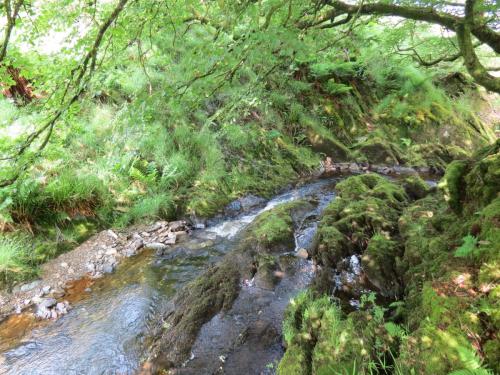 6.-Downstream-from-Warren-Bridge-1