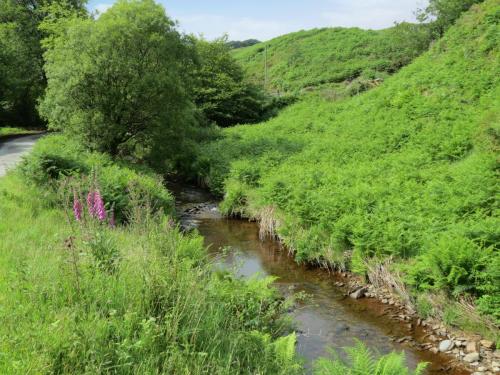 6.-Downstream-from-Warren-Bridge-2