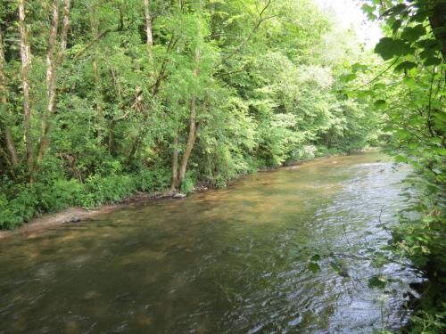 6.-Downstream-from-Weir-Bridge-10