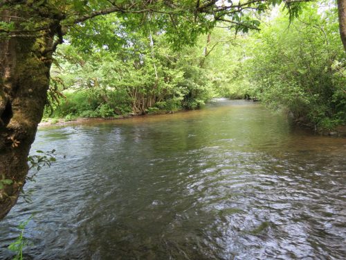 6.-Downstream-from-Weir-Bridge-13
