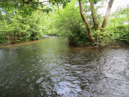 6.-Downstream-from-Weir-Bridge-14