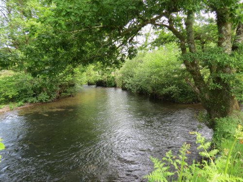 6.-Downstream-from-Weir-Bridge-15