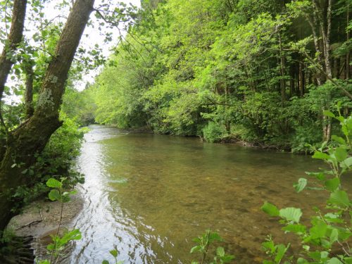 6.-Downstream-from-Weir-Bridge-2