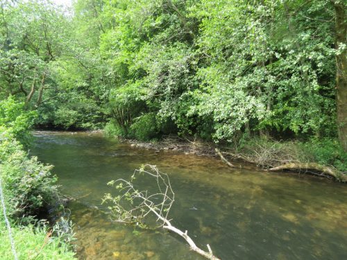 6.-Downstream-from-Weir-Bridge-4