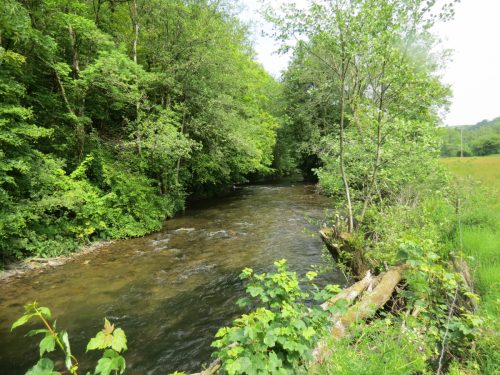 6.-Downstream-from-Weir-Bridge-5