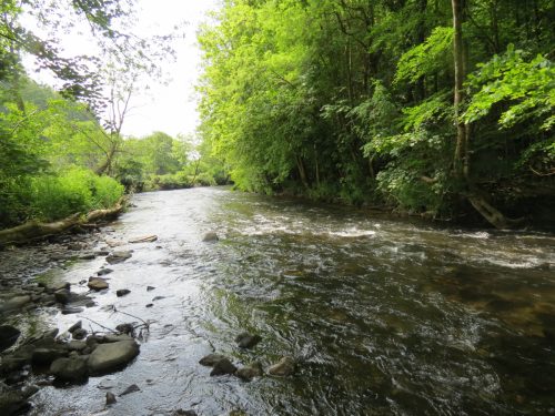 6.-Downstream-from-Weir-Bridge-6
