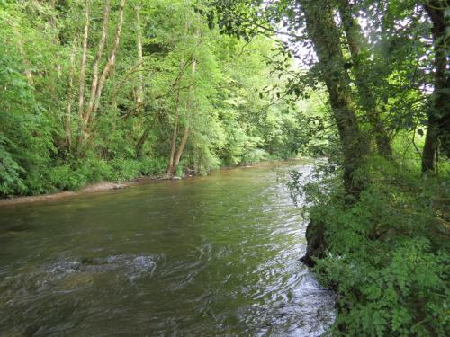 6.-Downstream-from-Weir-Bridge-7
