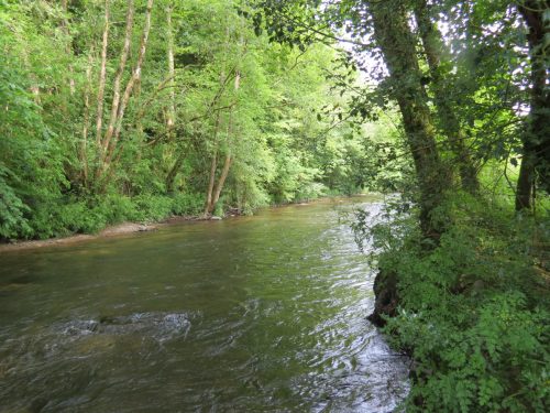 6.-Downstream-from-Weir-Bridge-7