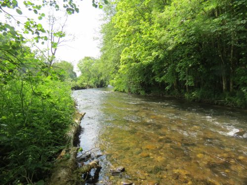 6.-Downstream-from-Weir-Bridge-9