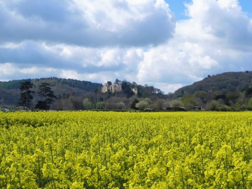 6.-Dunster-Castle-from-Flood-Relief-Channel-2
