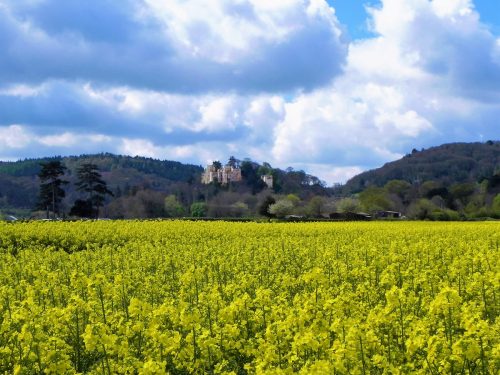 6.-Dunster-Castle-from-Flood-Relief-Channel-3