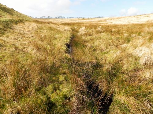 6.-Flowing-past-Hurdle-Down-2