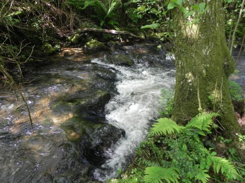 6.-Flowing-through-Stock-Wood-4