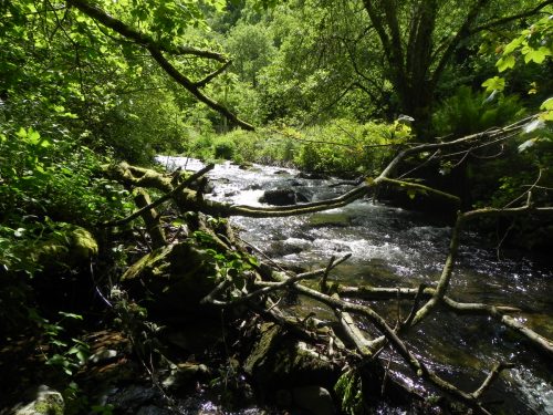 6.-Flowing-through-Stock-Wood-8