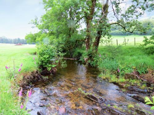 6.-Flowing-through-Westermill-Farm-campsite-17