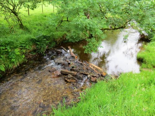 6.-Flowing-through-Westermill-Farm-campsite-18