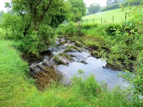 6.-Flowing-through-Westermill-Farm-campsite-22