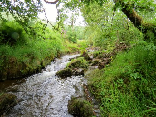 6.-Flowing-through-Westermill-Farm-campsite-24